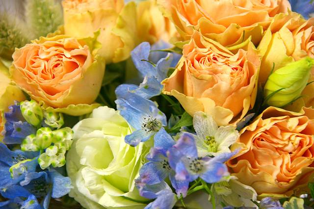 ゆい(唯)(レモン家)