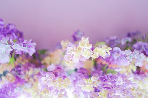 出勤です♡