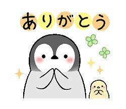 昨日『１８日』のお礼です(^^)