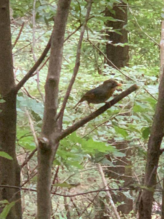 昨日のお礼です^^