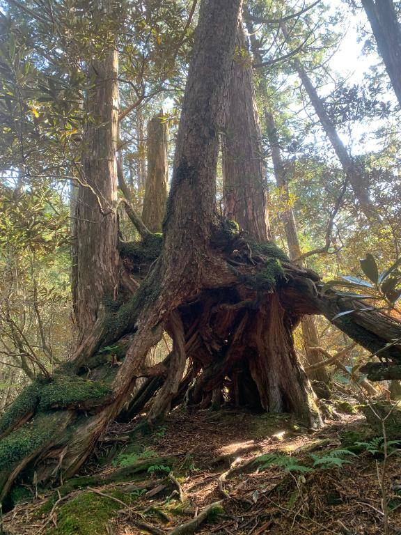 2日☆お礼です^^