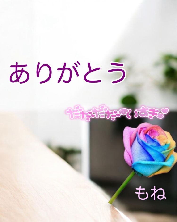 今日のお礼です( ⁎ᵕᴗᵕ⁎ )❤︎