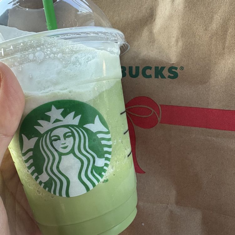 お休みの間(*´-`)