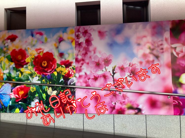 ５月２０日のお礼です🩷