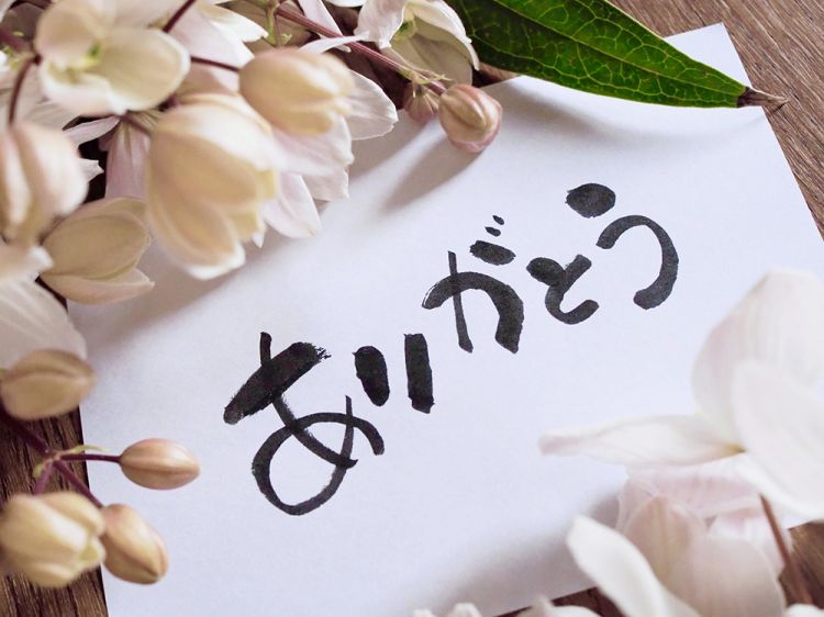６月２２日のお礼です🩷