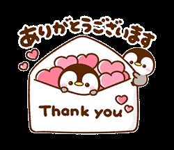 ８月３０日のお礼です🩷