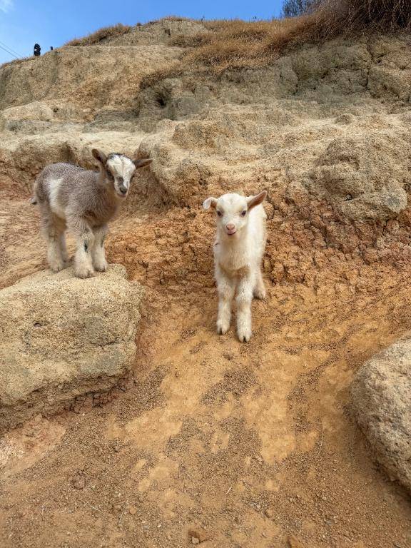今日だけお休み?