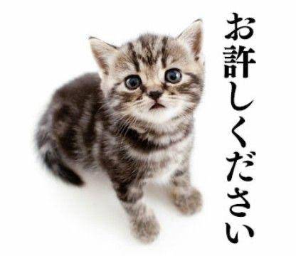 すみません(;_;)