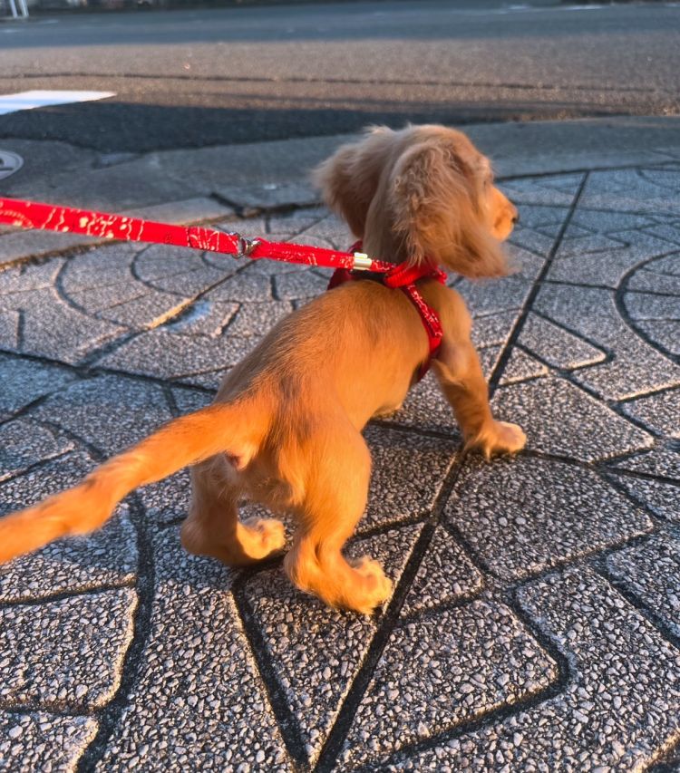 ありがとうございました（＾ω＾）💕