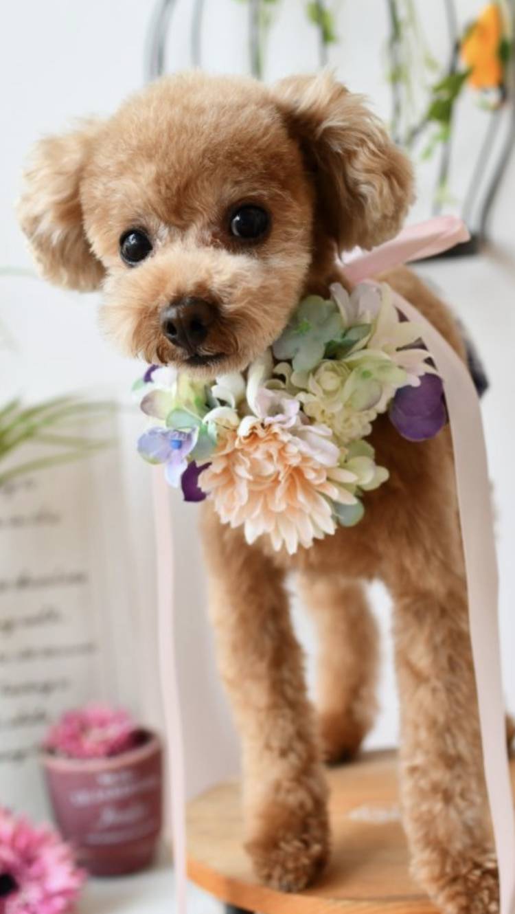 出勤しました。