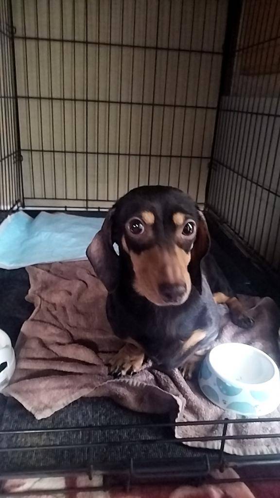 ゆっくりお休み