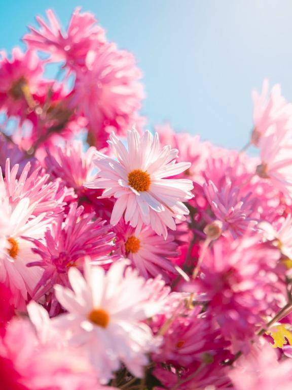 ?