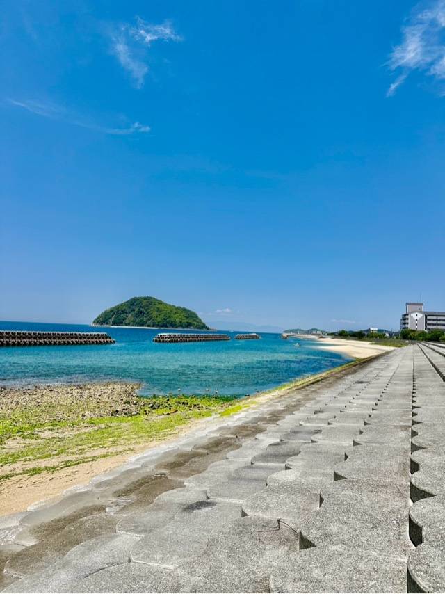 おはようございます?