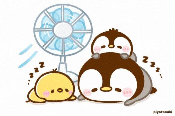 こんばんは☆彡