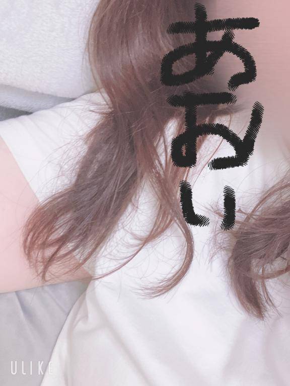 亀の正体