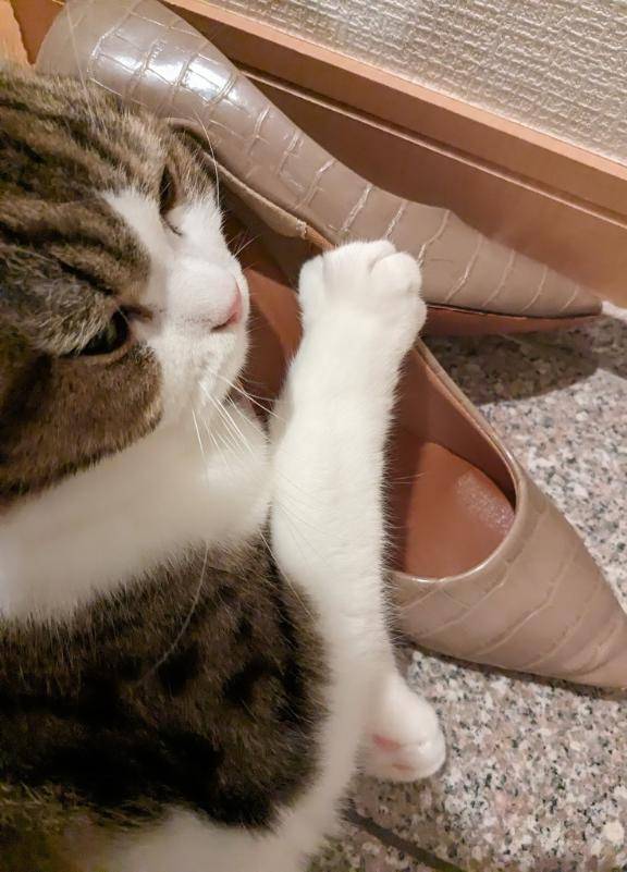 おはようございます