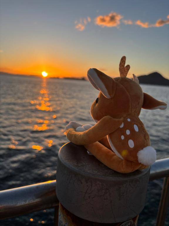 海?