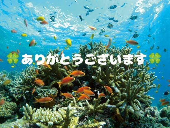 ありがとうございます！??