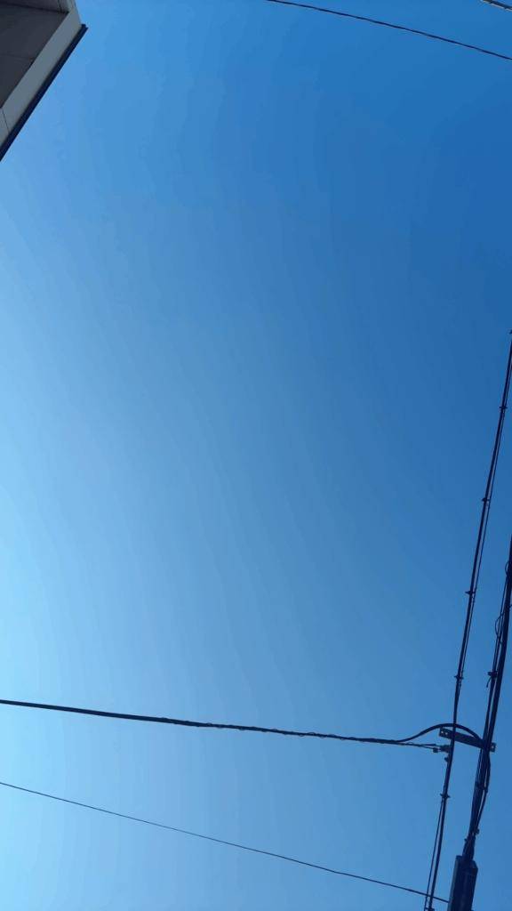天気良いですね～??