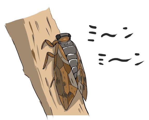 泣きそうになった