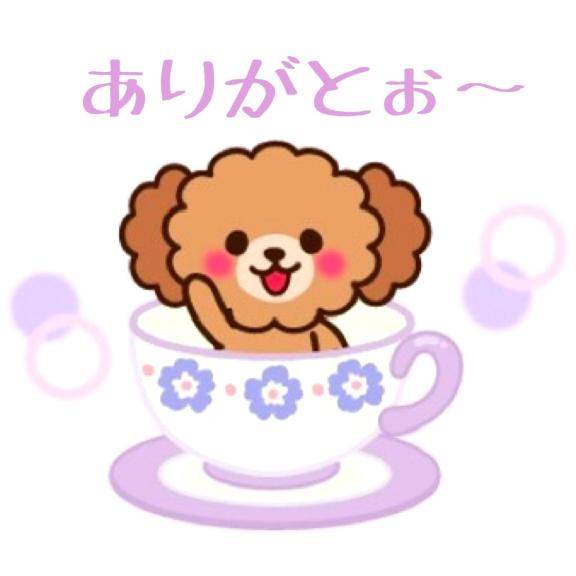 8/11 ?nana 205の方?へ