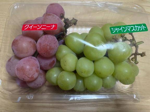 わーい??(*´ ? `*)??