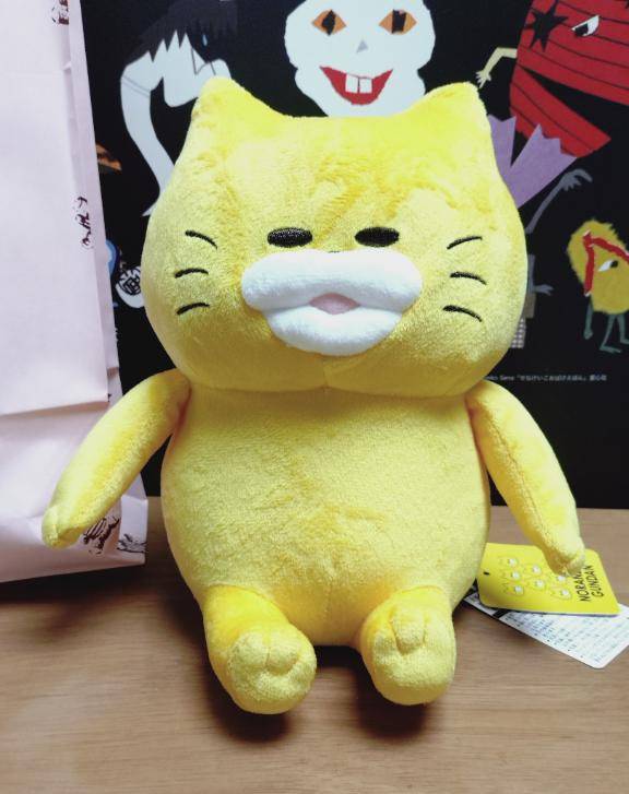 起きたら