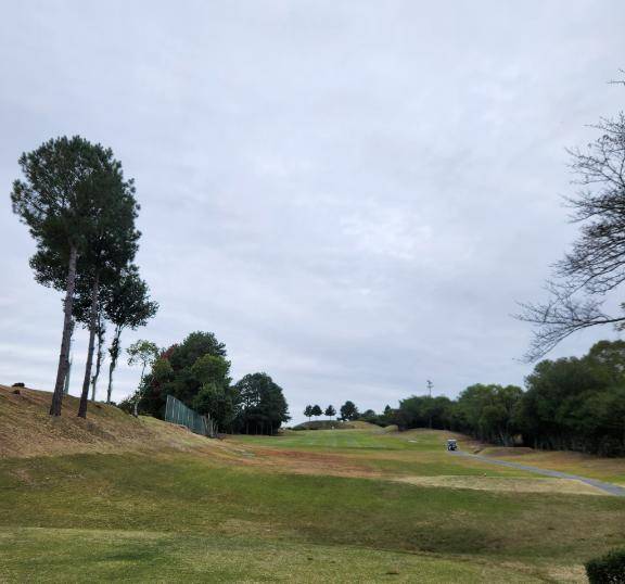 上手くいかないけど