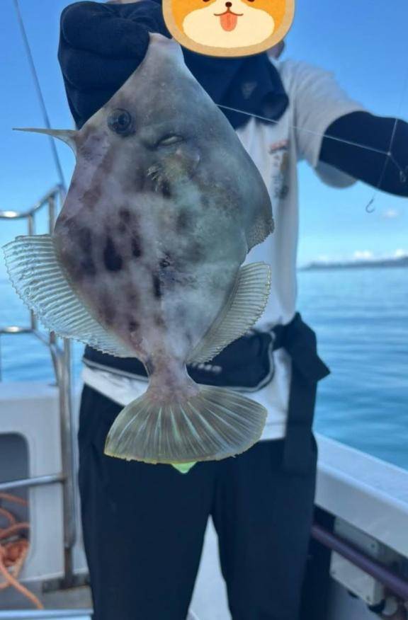 りょうこ43歳(｀･ω･´)ゞ