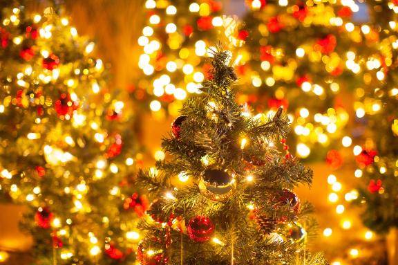 ありがとうございました☆