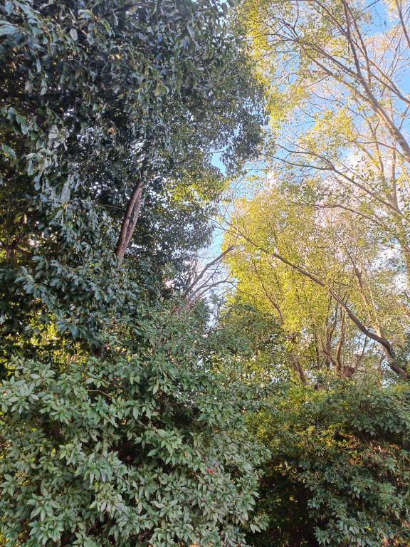 私は何処にいるでしょう|дﾟ)ﾁﾗｯ