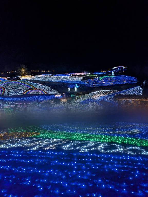 イルミネーション??