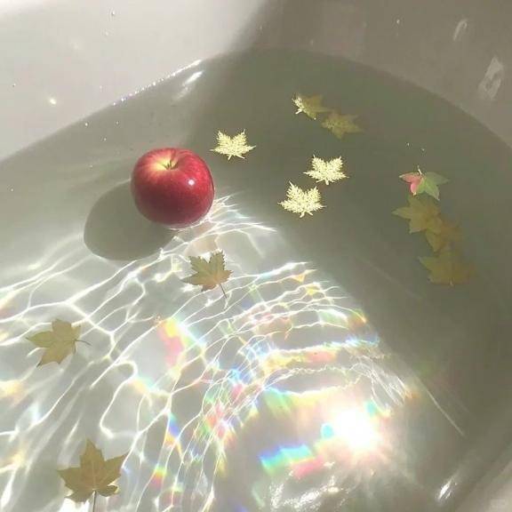 [お題]from:まだまだ姫納め?さん