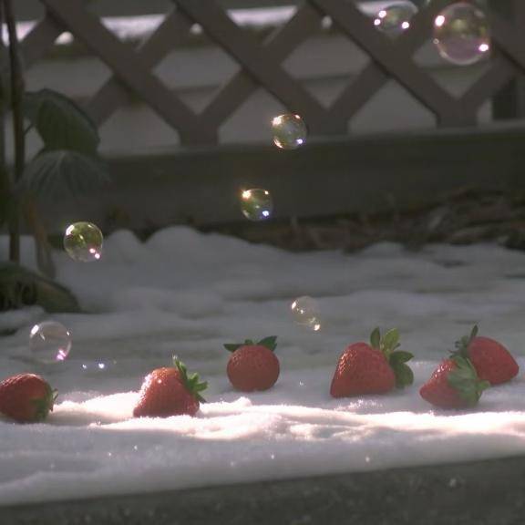 改めて…自己紹介?