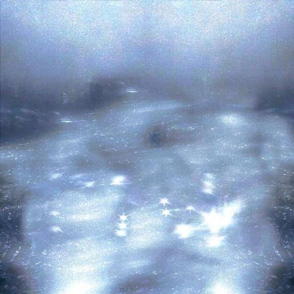 寒過ぎて…温もり不足