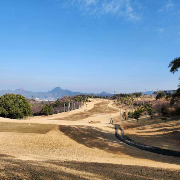 おはようございます(^-^*)