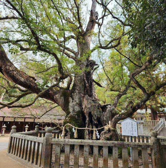 邪気を払う(^^)d