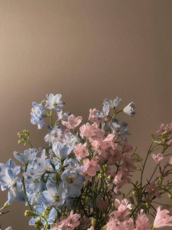 次回出勤のお知らせ????