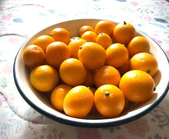 本日?21時より出勤します??