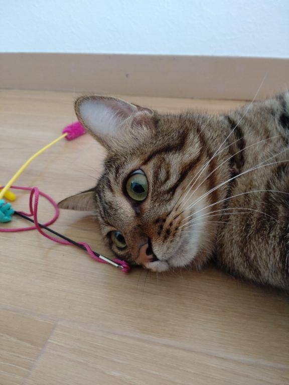 時間作りました