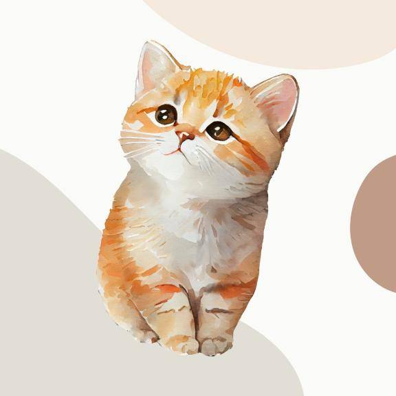 あれ？あれ？ん～…ンー、お腹が………減った(笑)