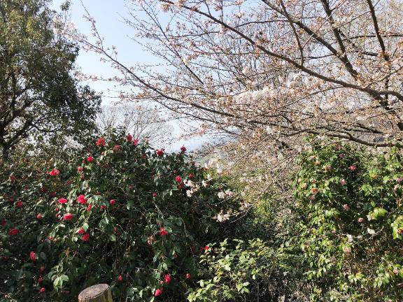 開宴です。。。?