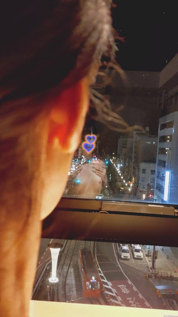 ?????????出勤日?????????