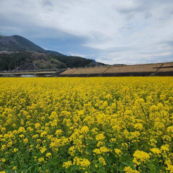おはようございます(^-^*)