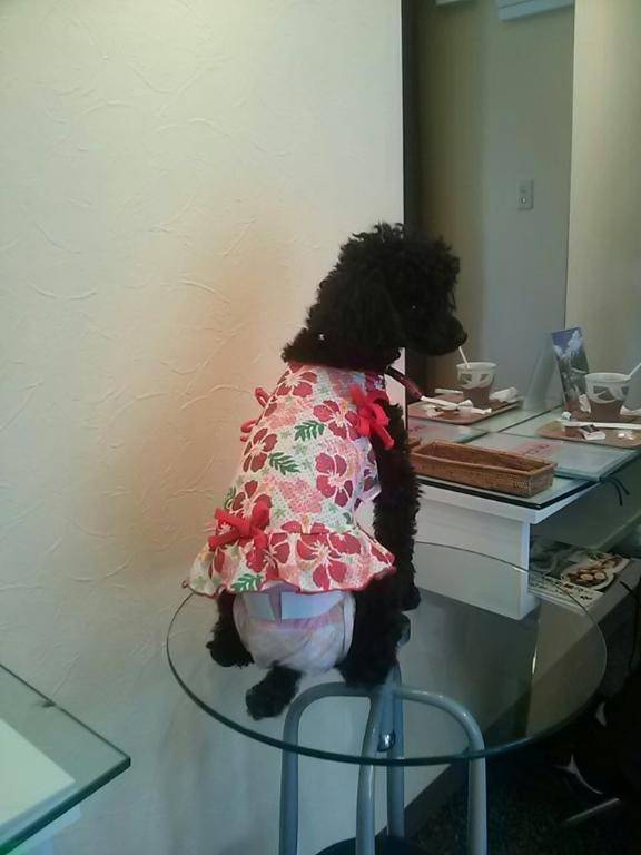 お疲れさまです?