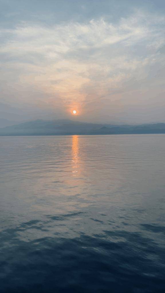 おはようございます??