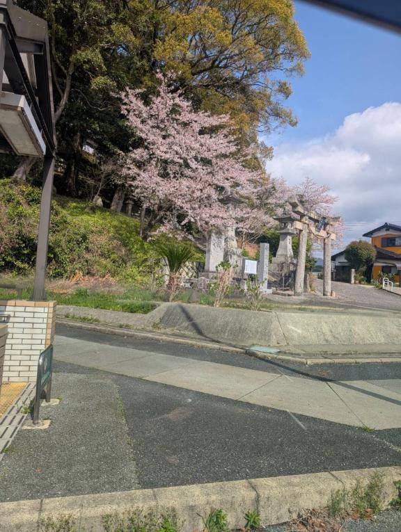 お久しぶりです