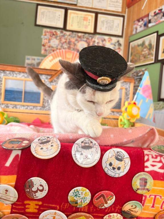 仕事中に力を入れてる事??