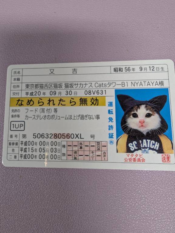 出勤です！