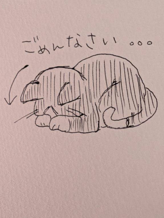お休みします